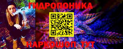 apvp Пушкино