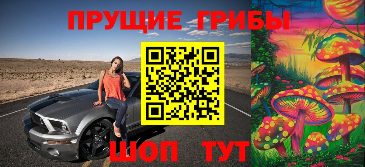 APVP Волжский