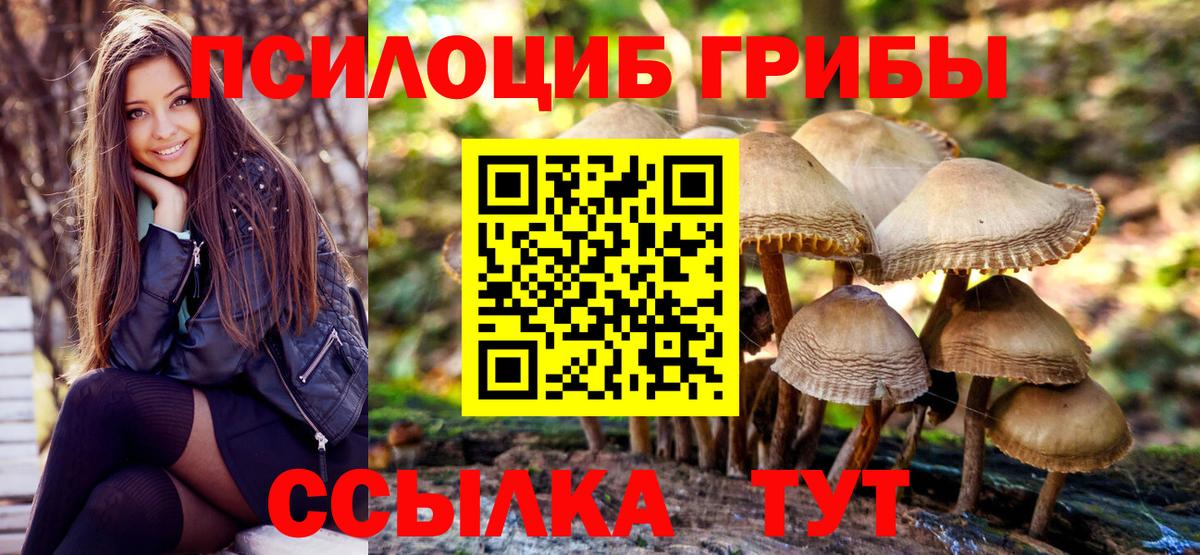 Псилоцибиновые грибы прущие грибы  Вход с VPN  Волжский 